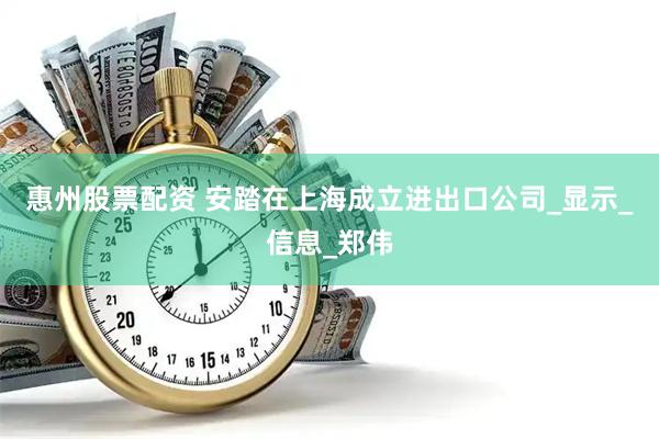 惠州股票配资 安踏在上海成立进出口公司_显示_信息_郑伟
