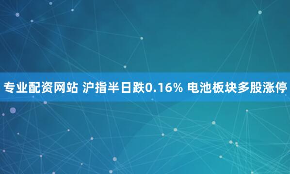 专业配资网站 沪指半日跌0.16% 电池板块多股涨停