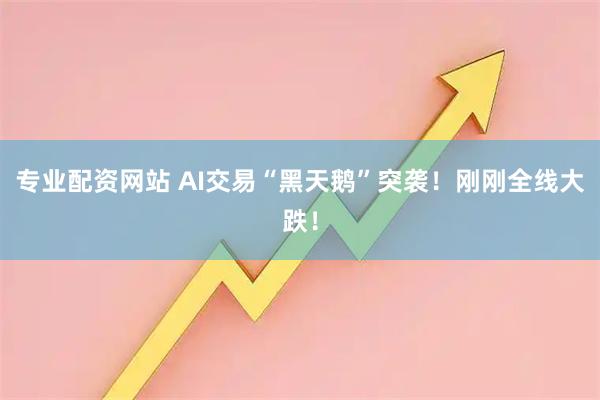 专业配资网站 AI交易“黑天鹅”突袭！刚刚全线大跌！