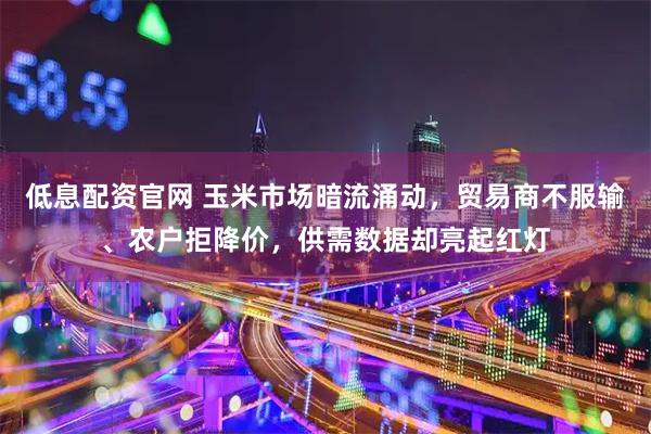 低息配资官网 玉米市场暗流涌动，贸易商不服输、农户拒降价，供需数据却亮起红灯